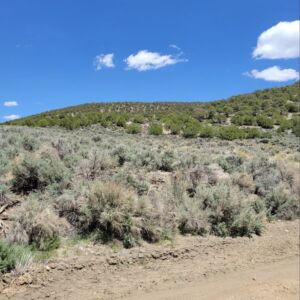 5.5 acres in Ft Garland, Colorado (Costilla County) - APN 70224790